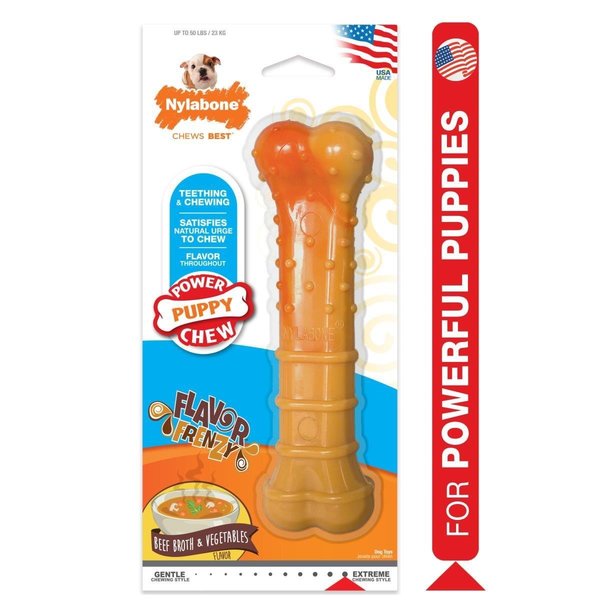 Nylabone Puppy Chew Flavor Frenzy Toy, Regular NPFF104P